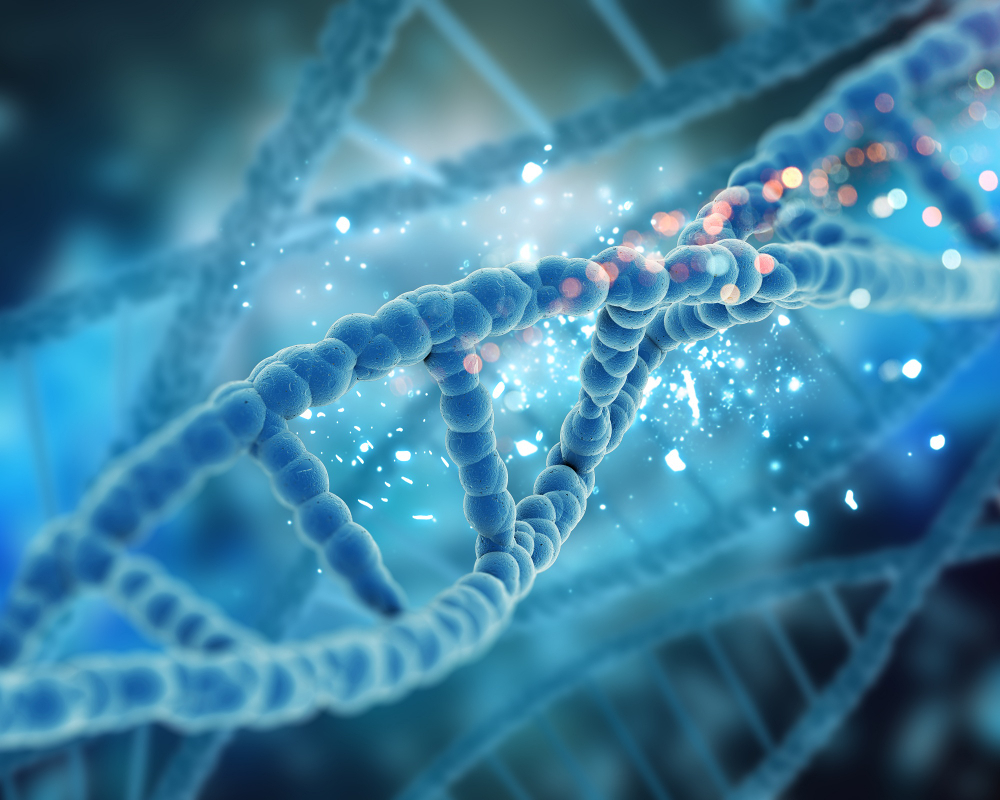 DNA-Doppelhelix