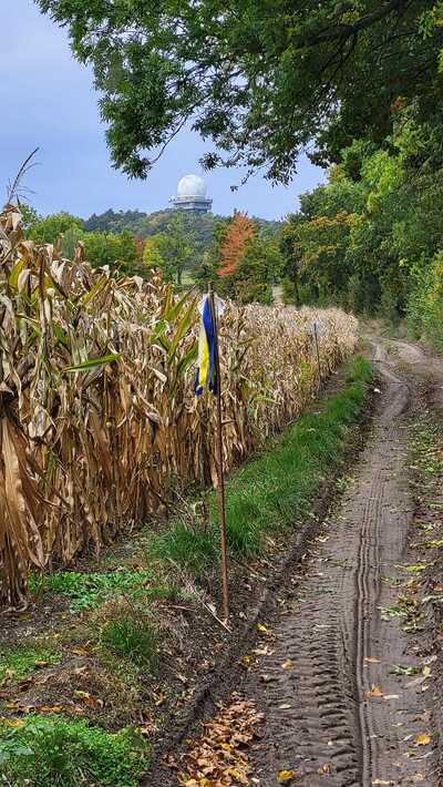 Von Asparn/Zaya zum Buschberg