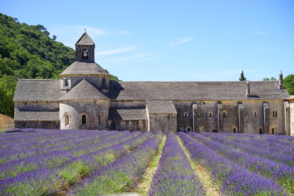 Abbaye-de-Senanque