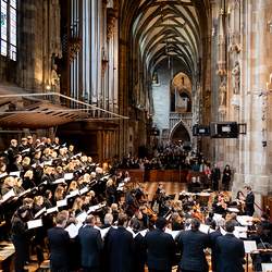 Allerheiligen Stephansdom