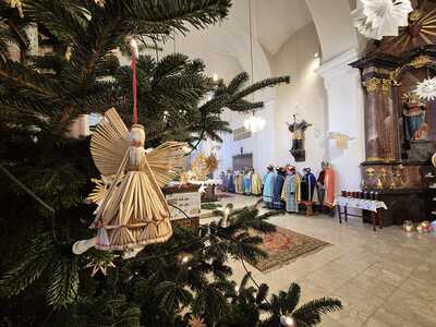 Sternsingergruppen der Pfarre Asparn/Zaya