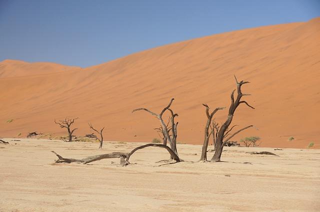Caritas-Helfer: Welt verschläft Hungerkatastrophe in Ostafrika