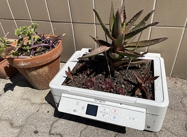 Vom Drucker zum Blumentopf