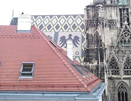 Im Angesicht des Doms