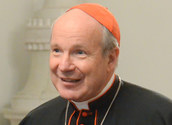 Kardinal Schönborn / kathbild.at/Rupprecht