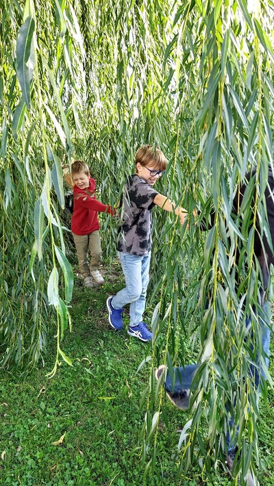 Kinder zwischen Weidenästen