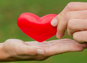 Herz in der Hand/bilderbox.com