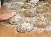 Brot backen/kathbild.at,rupprecht