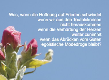 15.12. Adventkalender 2025