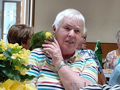 Hans und Barbara Scheck