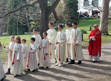 Palmsonntag m. Palmsegnung / Pfarre Bad Vöslau