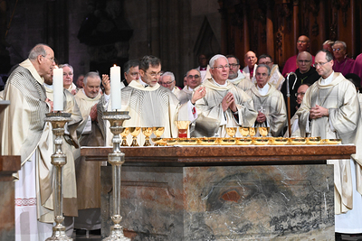 Bischofsweihe und Amtseinführung im Stephansdom
