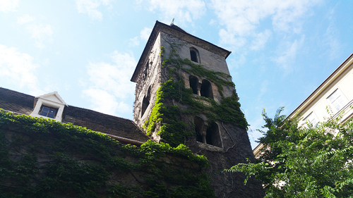 Ruprechtskirche in Vienna, Austria and  green Grass on the wall at summer