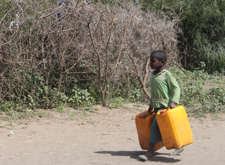 „Antworten“ von Kardinal Christoph Schönborn, in der Zeitung Heute, am Freitag, 12. August 2016.