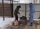 Winter in der Ukraine