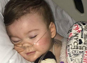 savealfieevans.com