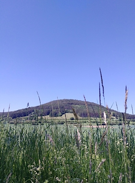 Seelsorgeraum Gfiederbergpfarren