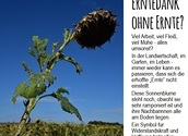 Erntedank ohne Ernte?