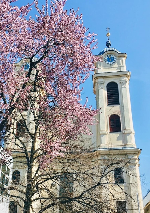 Pfarrkirche Lichtental