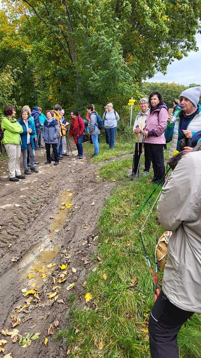 Von Asparn/Zaya zum Buschberg