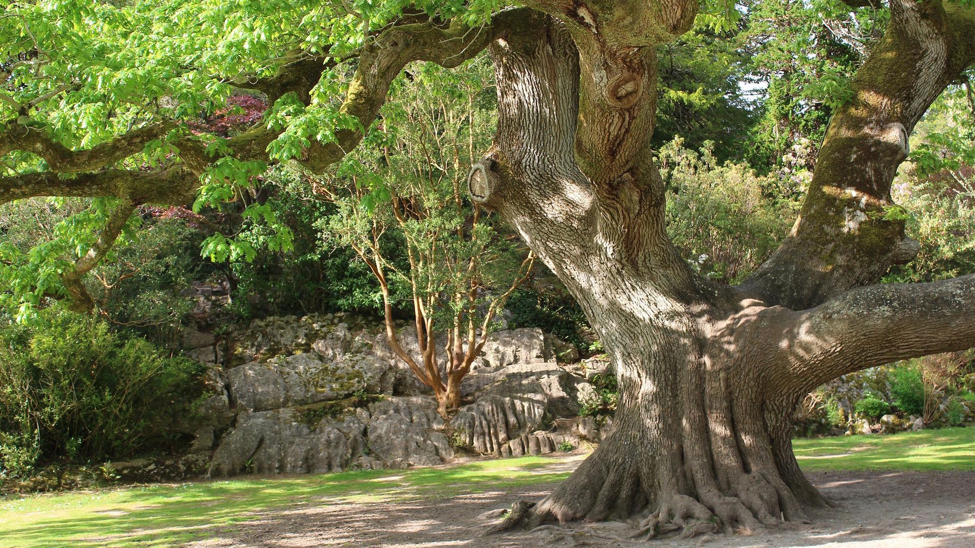 Bild von Wolfgang auf Pixabay