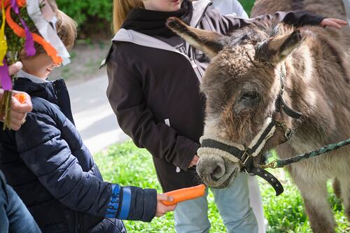 Palmsonntag Pfarre Heilige Mutter Teresa / Erzdiözese Wien/Feuchtner