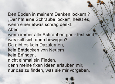 19.12. Adventkalender 2025