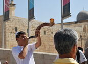 https://commons.wikimedia.org/wiki/File:Another_shofar_(2688159523).jpg