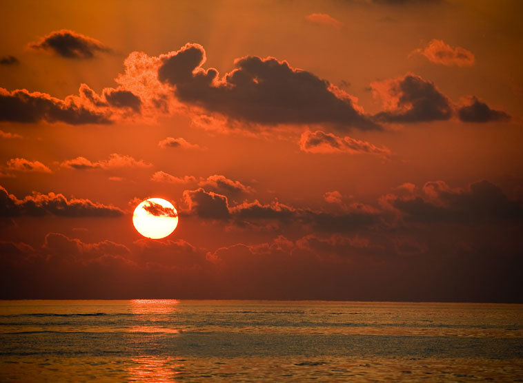 Gedanken von Kardinal Christoph Schönborn zum Evangelium am Sonntag, 9. Juli 2017 (Mt 11,25-30)