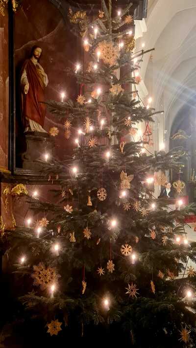 Krippenandacht und Krippenspiel in Asparn