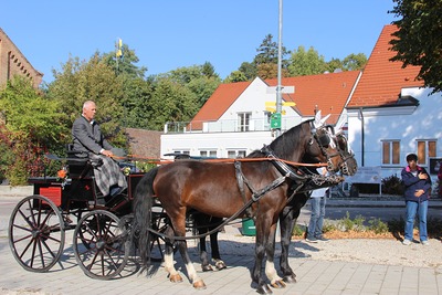 Tiersegnung Kutsche Manfred Wöhrer
