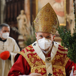 Kardinal Schönborn feiert Gottesdienst zum Palmsonntag am 28.März 2021 im Wiener Stephansdom