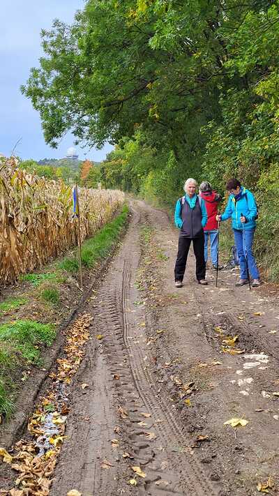 Von Asparn/Zaya zum Buschberg