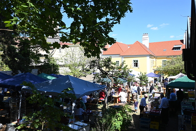 Blick in den gefüllten Pfarrgarten