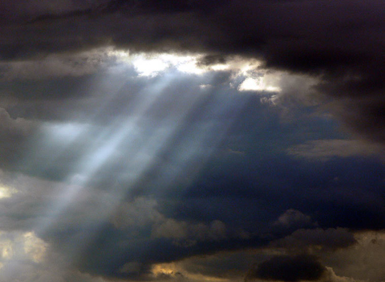 Gedanken von Kardinal Christoph Schönborn zum Evangelium am Sonntag, 18. November 2018 (Mk 13,24-32)