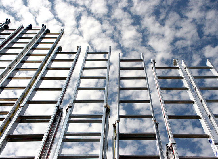 Gedanken von Kardinal Christoph Schönborn zum Evangelium am Sonntag, 10. Juni 2018 (Mk 3,20-35)