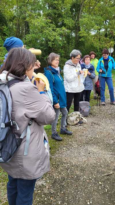 Von Asparn/Zaya zum Buschberg