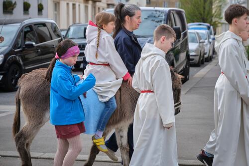 Palmsonntag Pfarre Heilige Mutter Teresa / Erzdiözese Wien/Feuchtner
