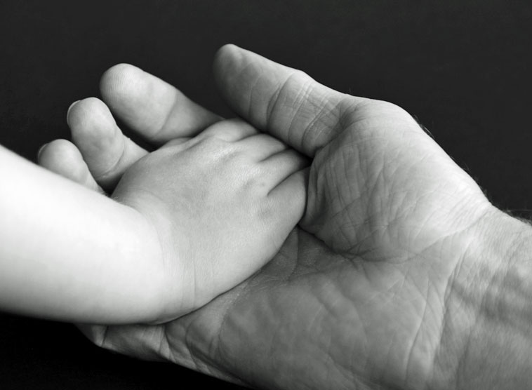 Gedanken zum Evangelium: Wie Vertrauen wächst