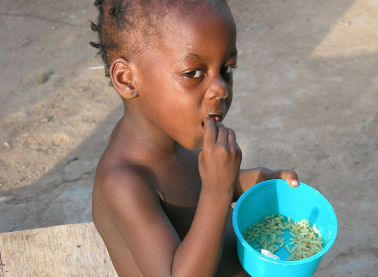 Gedanken von Kardinal Christoph Schönborn zum Evangelium am Fronleichnamsfest, 26. Mai 2016 (Lk 9,11b-17)