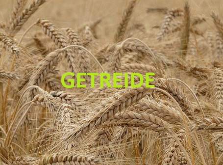 Getreide