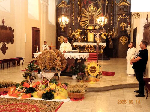 Gottesdienst in Asparn