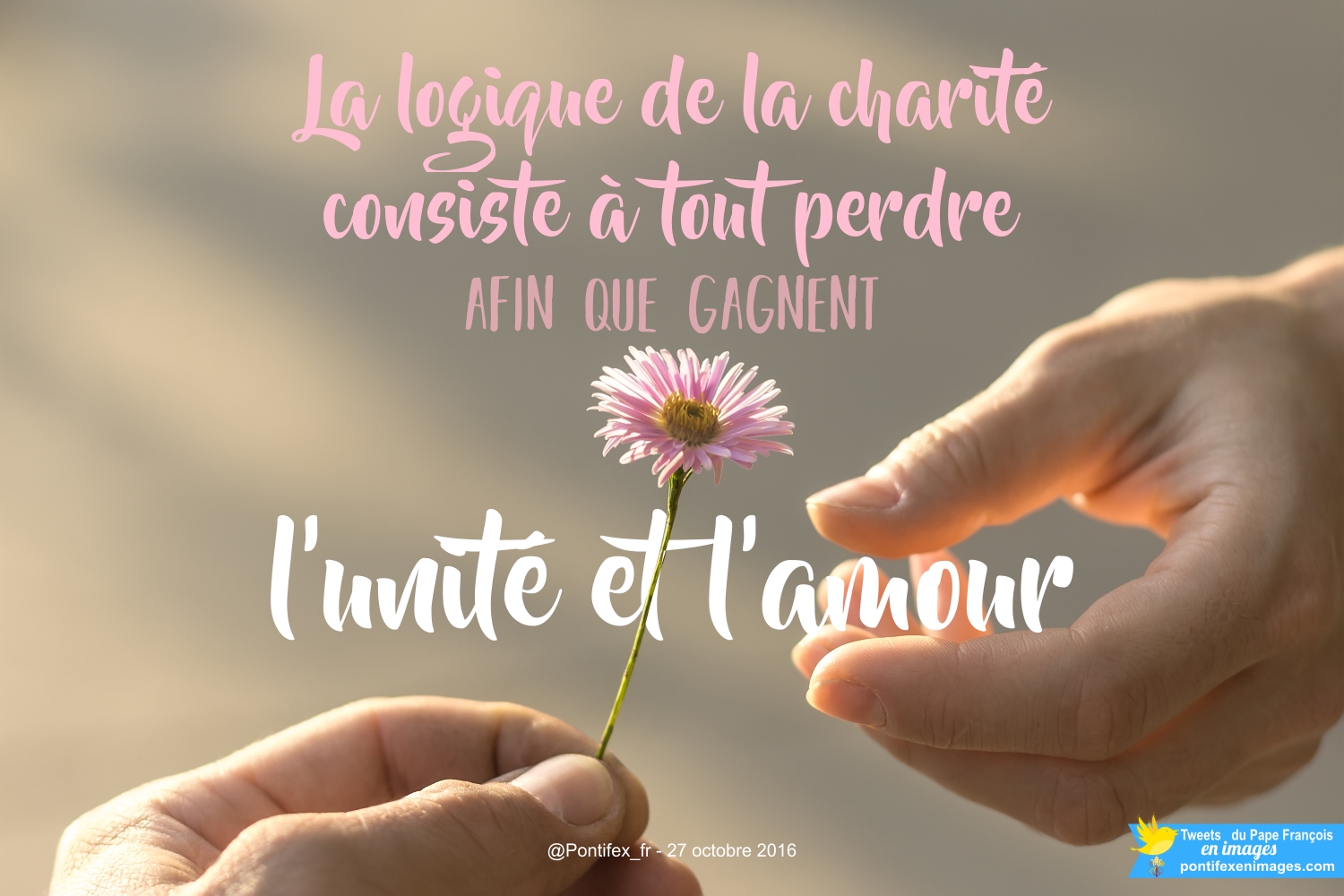 Die Logik der 'Caritas' besteht darin, alles zu verlieren, damit die Einheit und die Liebe gewinnen.