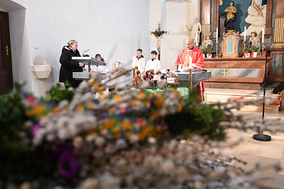 Feier des Palmsonntags in der Kirche in Wenzersdorf