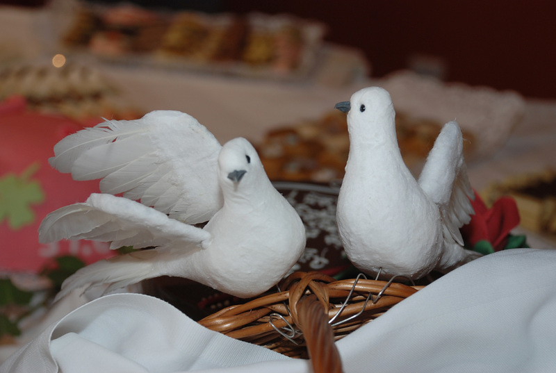 Aktion Friedenstaube