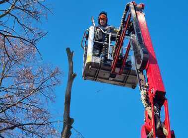 Pfarre Harmannsdorf - 1. 3. 2025