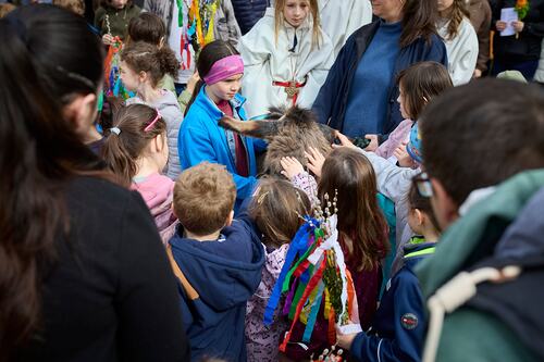 Palmsonntag Pfarre Heilige Mutter Teresa / Erzdiözese Wien/Feuchtner