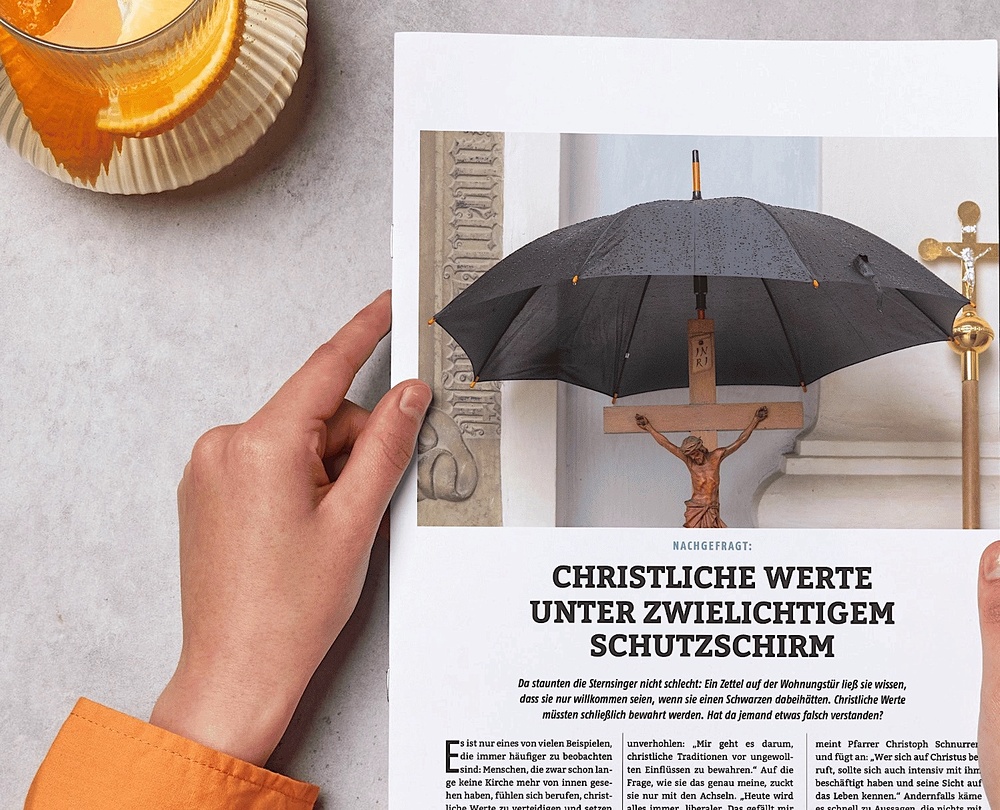 Der fertige Artikel mit passendem Foto