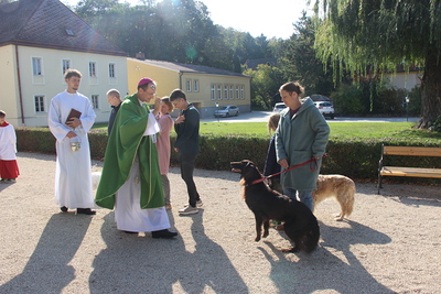 Tiersegnung Suchhunde
