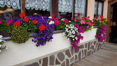 Busreise nach Oberitalien / M. Hersch / Reisegruppe